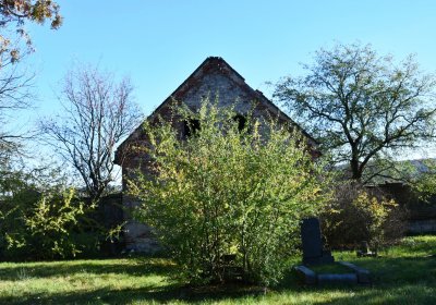 Žabokliky, Omnium, 2020