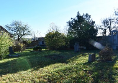 Žabokliky, Omnium, 2020