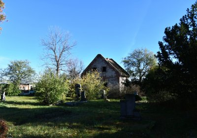 Žabokliky, Omnium, 2020