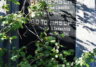 Žabokliky, Omnium, 2020