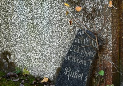 Žabokliky, Omnium, 2020