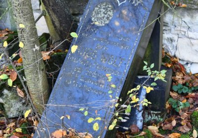 Žabokliky, Omnium, 2020