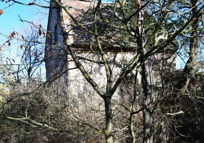 Žabokliky, Omnium, 2020