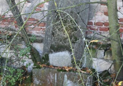 Žabokliky, Omnium, 2020