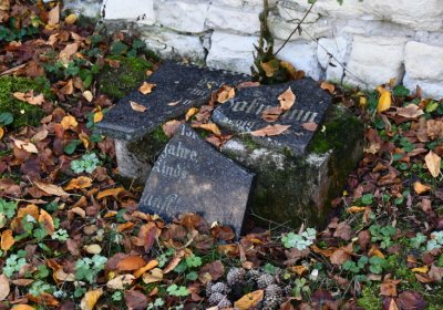 Žabokliky, Omnium, 2020