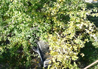 Žabokliky, Omnium, 2020