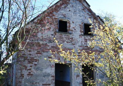 Žabokliky, Omnium, 2020