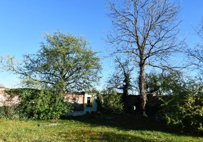 Žabokliky, Omnium, 2020