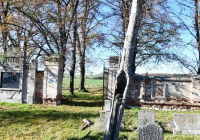 Žabokliky, Omnium, 2020