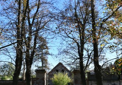 Žabokliky, Omnium, 2020