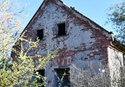 Žabokliky, Omnium, 2020