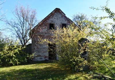 Žabokliky, Omnium, 2020