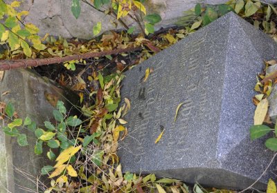 Žabokliky u kostela, Omnium, 2020