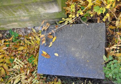 Žabokliky u kostela, Omnium, 2020