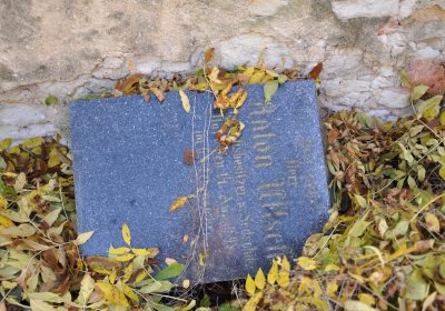 Žabokliky u kostela, Omnium, 2020