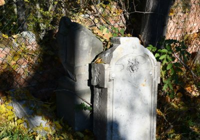 Žabokliky u kostela, Omnium, 2020