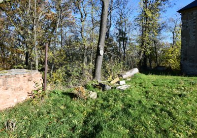 Žabokliky u kostela, Omnium, 2020