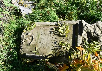 Žabokliky u kostela, Omnium, 2020