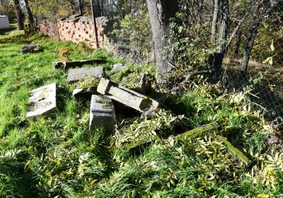 Žabokliky u kostela, Omnium, 2020