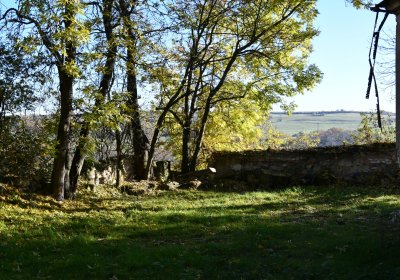 Žabokliky u kostela, Omnium, 2020