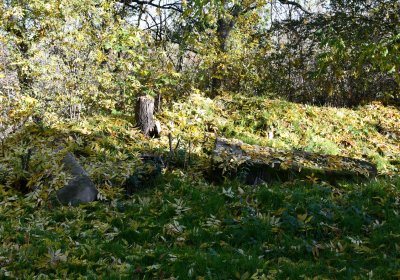 Žabokliky u kostela, Omnium, 2020