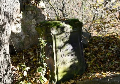 Žabokliky u kostela, Omnium, 2020