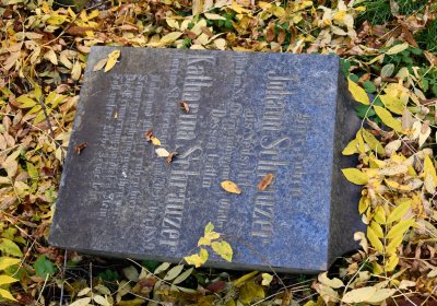 Žabokliky u kostela, Omnium, 2020