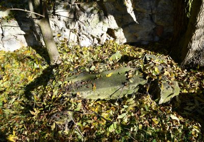 Žabokliky u kostela, Omnium, 2020