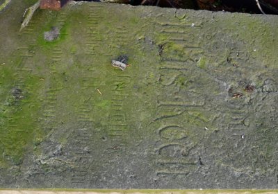 Žabokliky u kostela, Omnium, 2020