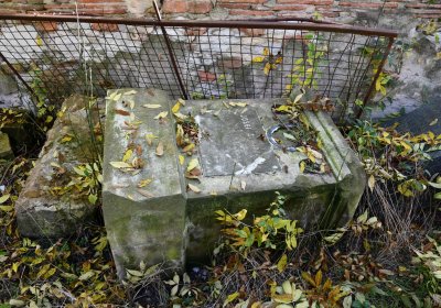 Žabokliky u kostela, Omnium, 2020