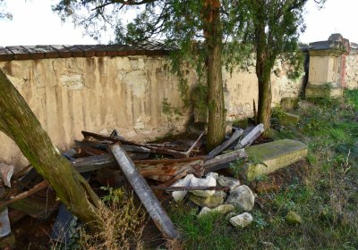 Žabokliky u kostela, Omnium, 2020