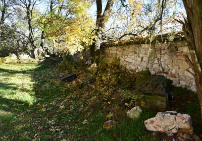 Žabokliky u kostela, Omnium, 2020