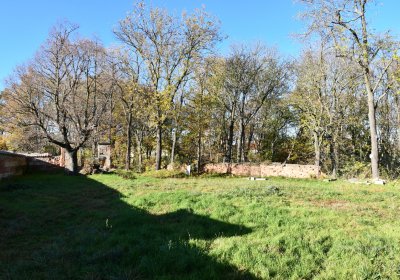 Žabokliky u kostela, Omnium, 2020