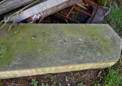 Žabokliky u kostela, Omnium, 2020