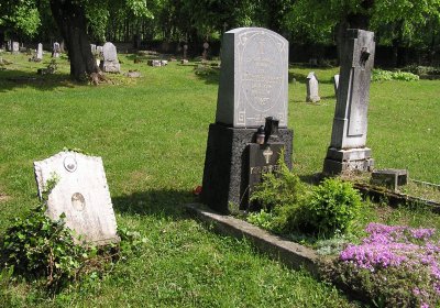 Pulkrtová Eva, 2007