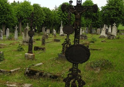 Pulkrtová Eva, 2007