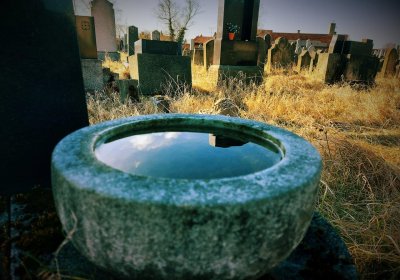 Korčák Rudolf, 2020