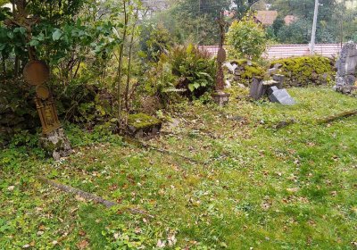 Jendřejek Martin, 2021