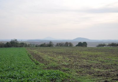 Malešov, Omnium, 2020