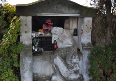 Malešov, Omnium, 2020