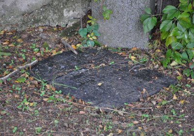 Malešov, Omnium, 2020