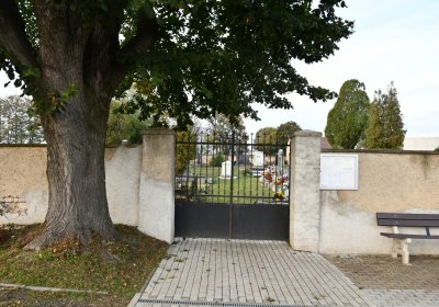 Malešov, Omnium, 2020