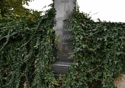 Malešov, Omnium, 2020