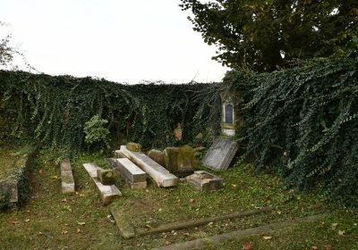 Malešov, Omnium, 2020