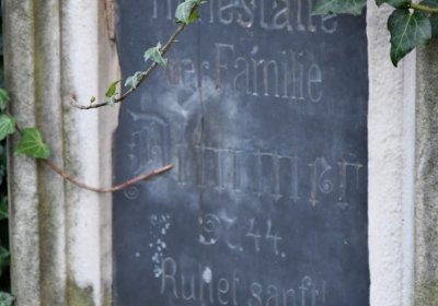 Malešov, Omnium, 2020