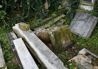 Malešov, Omnium, 2020