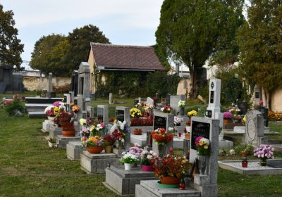 Malešov, Omnium, 2020