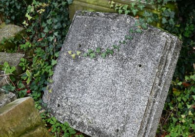 Malešov, Omnium, 2020