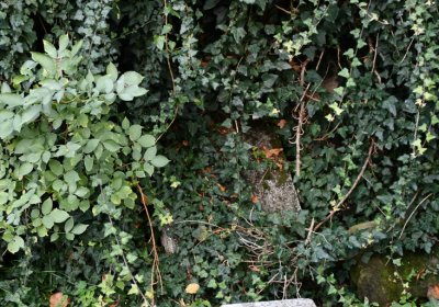 Malešov, Omnium, 2020