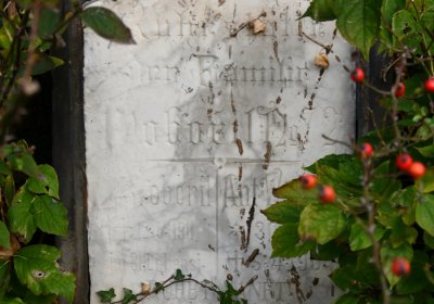 Malešov, Omnium, 2020